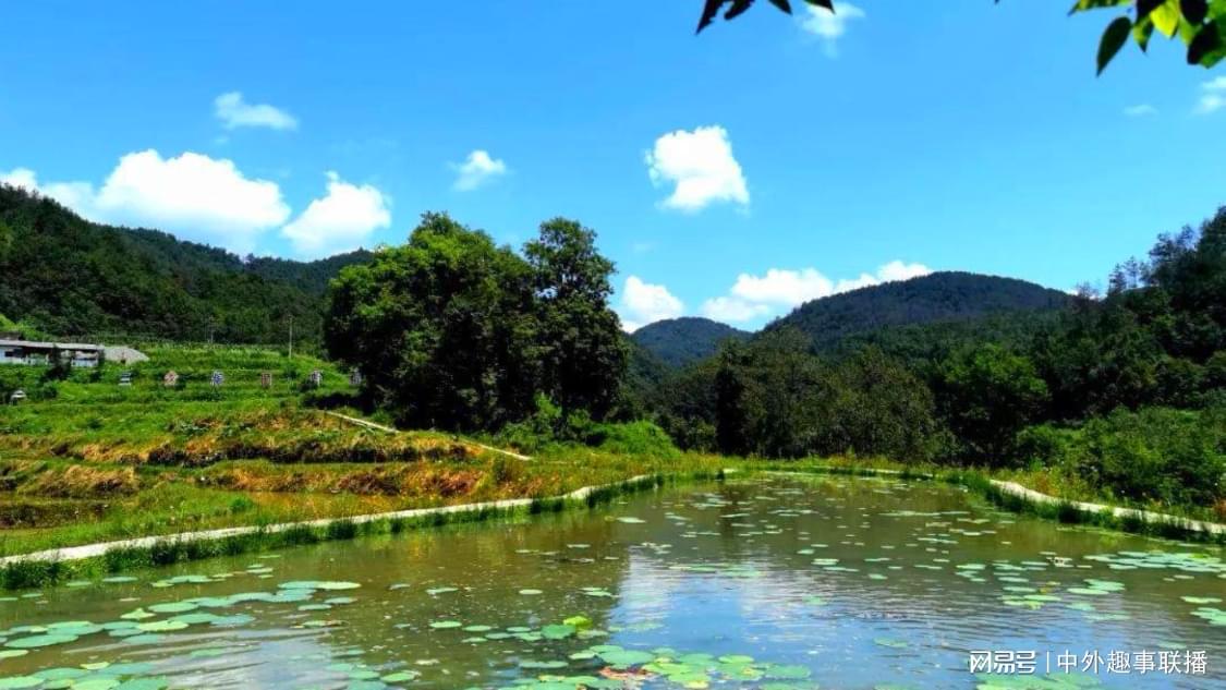 抖音双击自助下单网址