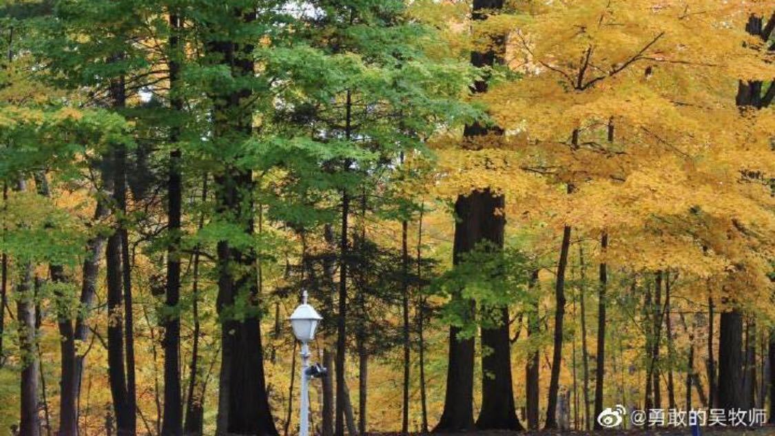 浏览量购买平台